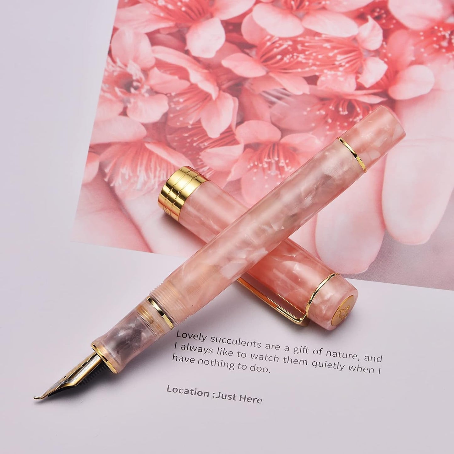 Jinhao 100 Fountain Pen Celluloid Classic Style, #6 Nib Smooth Writing Instrument with Refillable Converter and Pen Case Set