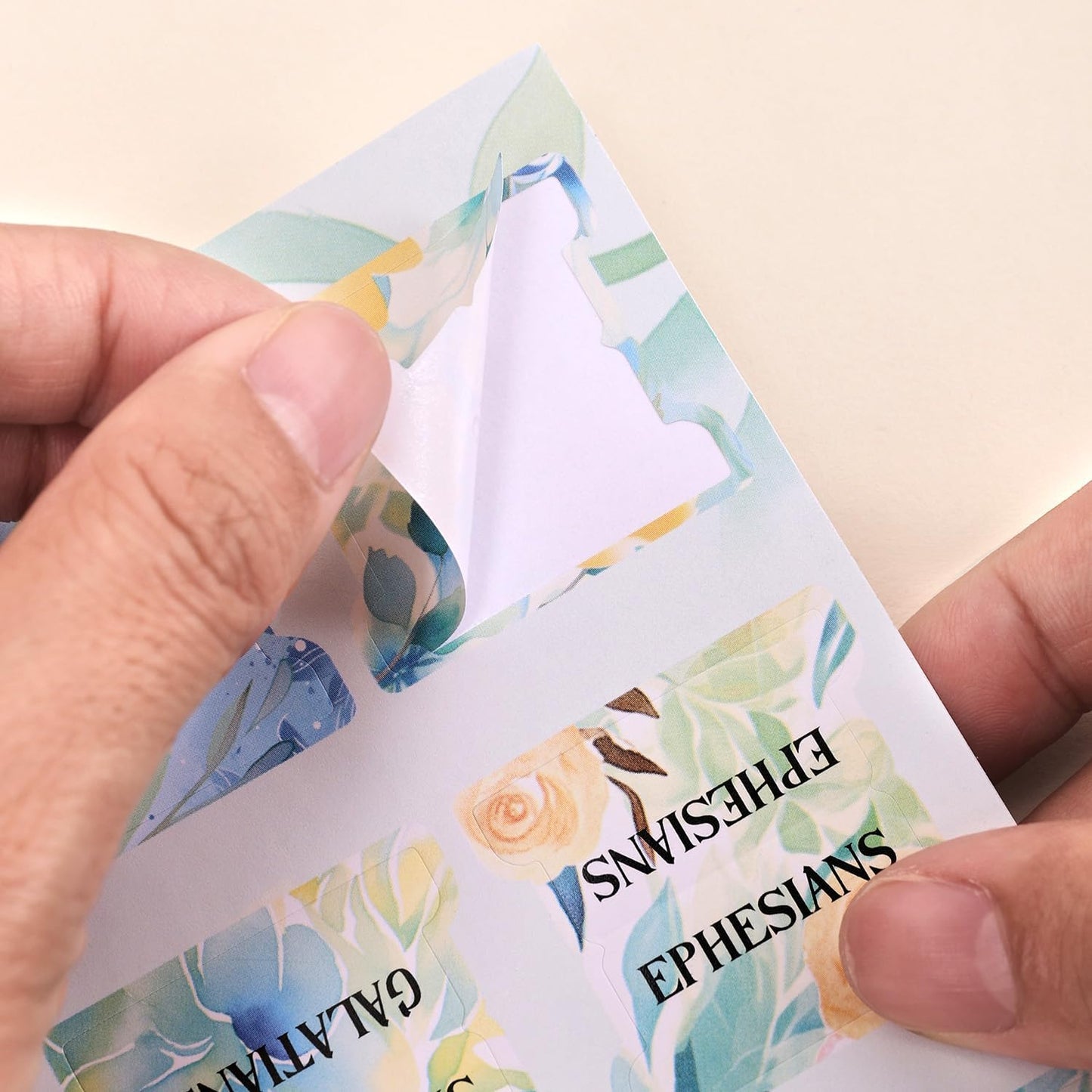 Bible Tabs for Women, 66 Large Print Laminated Bibles Chapters Index Tabs and 39 Blank Dividers Sticky Labels, Cute Beauty Bloom Bible Study Supplies, Journaling Accessories, Christian Gifts for Men