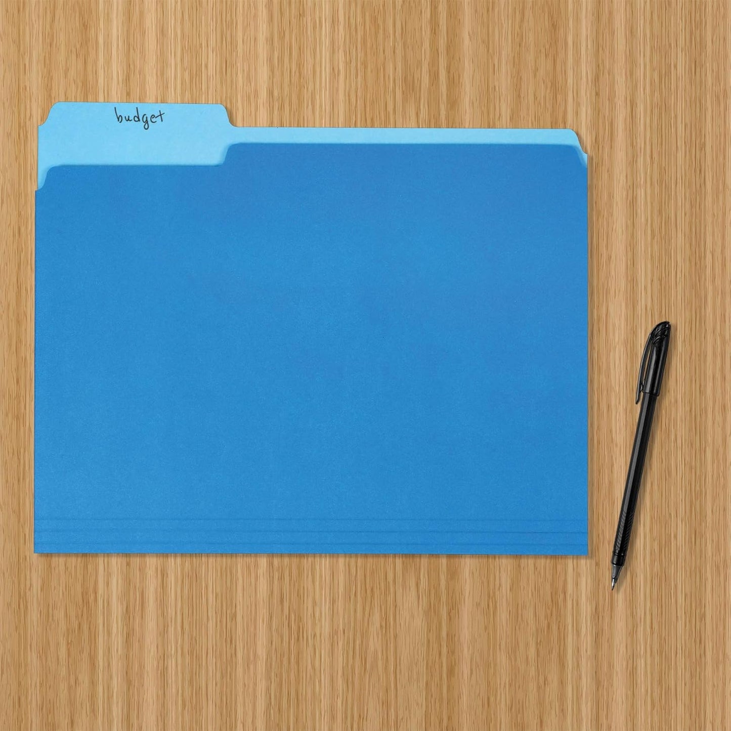 Amazon Basics File Folders, Letter Size, 1/3 Cut Tab, Sturdy with Tabs for Organizing and Filing, Blue, 36-Pack