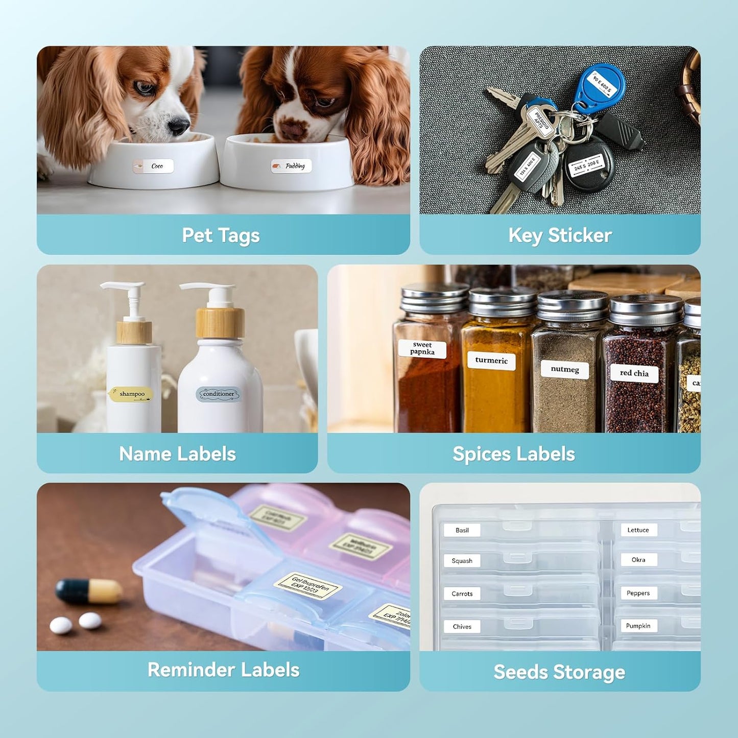 NIIMBOT Label Maker Machine D11 Label Printer Portable Wireless Connection Multiple Templates Available for Phone Easy to Use Office Home Organization USB Rechargeable