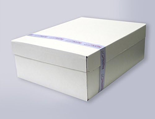 NextDayLabels - #9 Double Window Security Envelope (Regular Gum - 500 Per Pack)