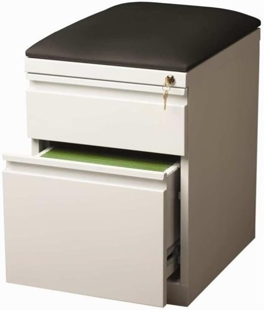Pemberly Row 2-Drawer Metal Mobile Pedestal File Cabinet in White/Black