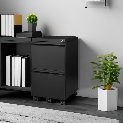 Mobile File Cabinet with Lock - 2 Drawer, Small Rolling Cabinet for Home Office, Legal/Letter/A4 (Black)