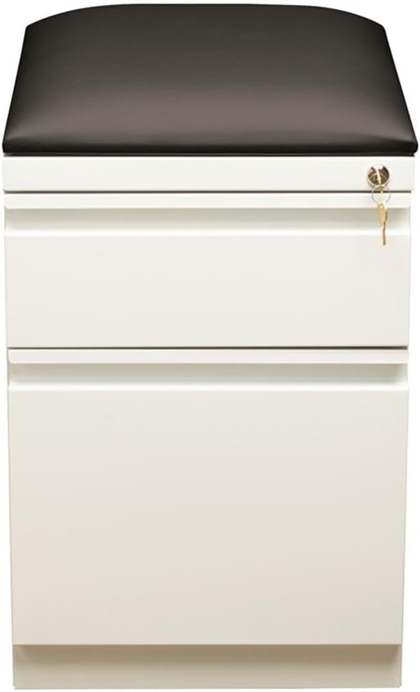Pemberly Row 2-Drawer Metal Mobile Pedestal File Cabinet in White/Black