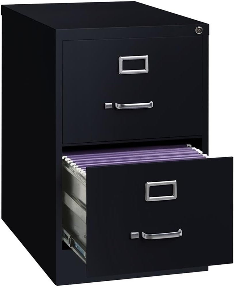 Pemberly Row 2 Drawers 28.38" Vertical Black Metal Filing Cabinet Lockable Pre-Assembled Stationary Legal Size for Home, Office