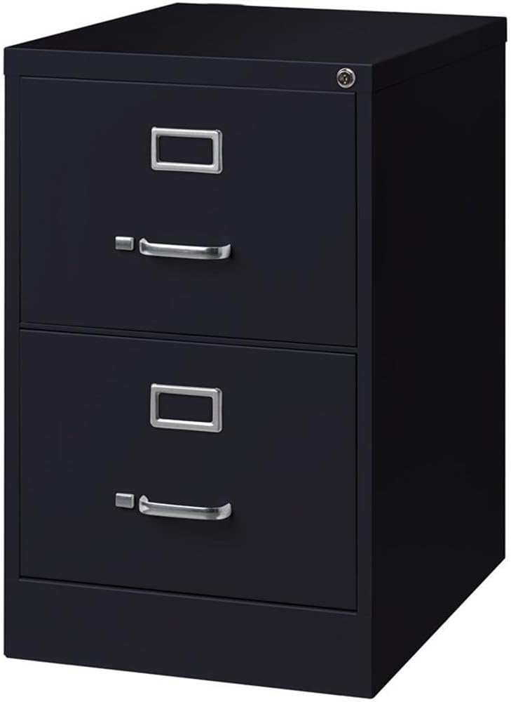 Pemberly Row 2 Drawers 28.38" Vertical Black Metal Filing Cabinet Lockable Pre-Assembled Stationary Legal Size for Home, Office