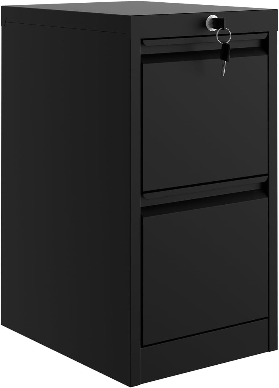GarveeHome File Cabinet with 2-Drawer Lock - Vertical Metal Filing Cabinet for Letter/Legal Size Documents - Heavy Duty File Storage for Home Office | Requires Assembly, Black