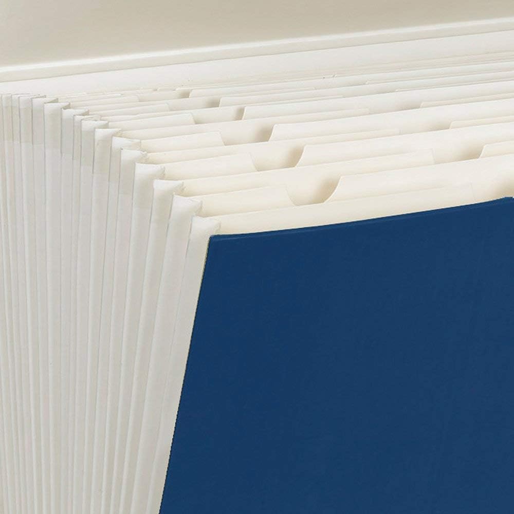 Smead Portable Expanding File Box, 19 Pockets, Blank Tabs, Printed Labels, Latch Closure, Legal Size, Blue (70806)