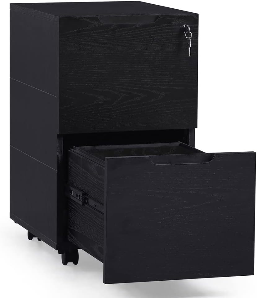 ZURI Hayes Modern 2 Drawer Mobile Legal and Letter Filling Pedestal - Black
