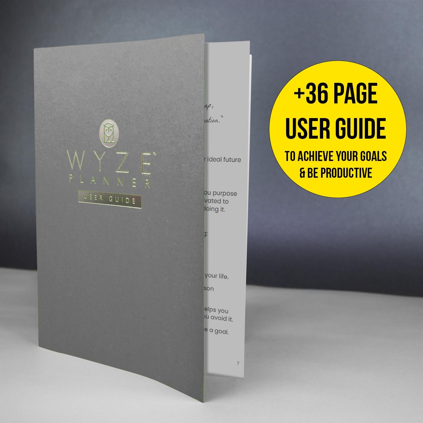 Undated Daily Planner – 1-Year B5 Productivity Organizer with Two-Page Weekly Spread, Goal Setting, Habit Tracker, Weekly & Monthly Pages – Hardcover Time Management Notebook (Gray)