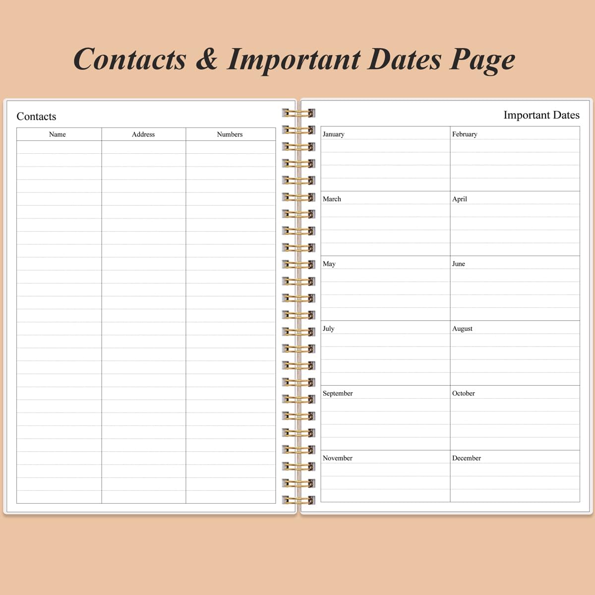 Daily Planner Undated - B5 To Do List Notebook Hourly Schedules, Spiral Appointment Planner for Women and Men, PVC Hardcover, Inner Pocket, Elastic Closure, 7" x 10", Rose Leaf