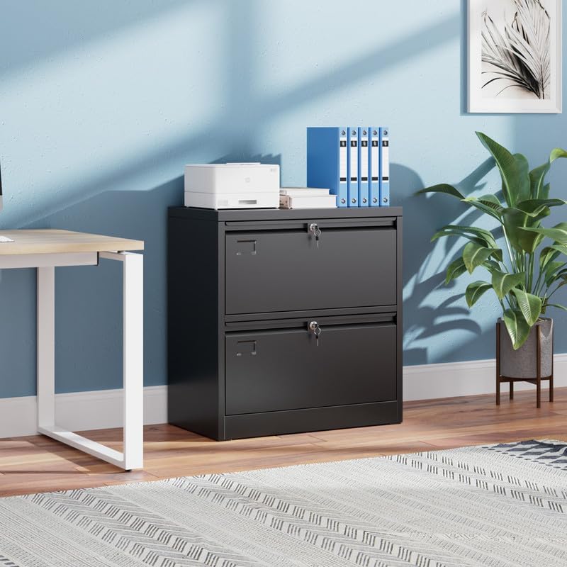 Aobabo Lateral File Cabinet 2 Drawer,Lockable Metal Filing Cabinet, Suitable for Home Office School Hanging Files Letter/Legal Size,Required-Assembly,Black