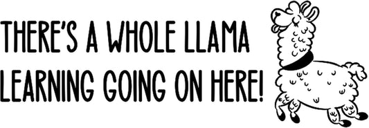 Whole Llama Learning | Custom Self-Inking Stamps | Large | 49 Designs | Fun Phrases | Grading Made Easy | Classroom & Library Book Stamps