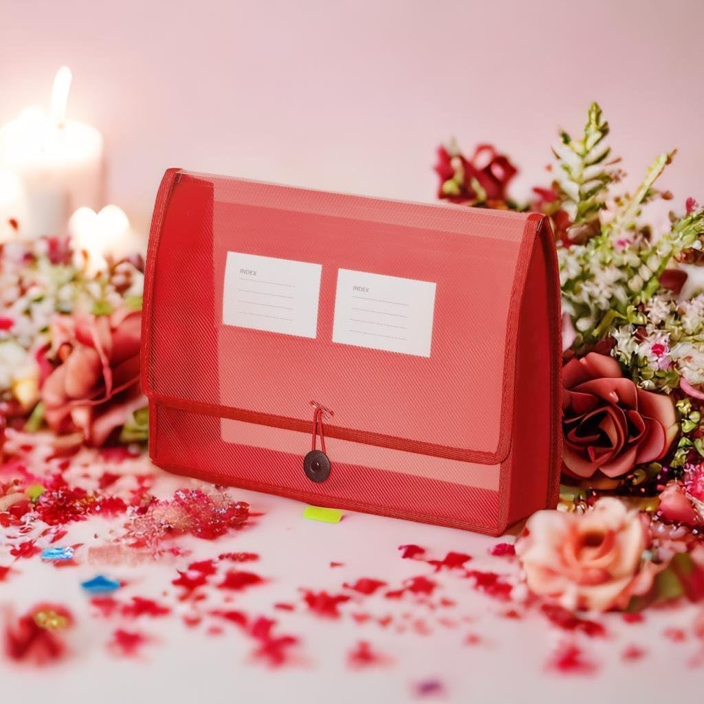 CHEPULA 5Pack A4 Plastic File Wallet Envelope Expanding File Folder Document Organizer with Snap Closure & Label Pocket Clear Colored Waterproof Accordion File Pouch for Office Home