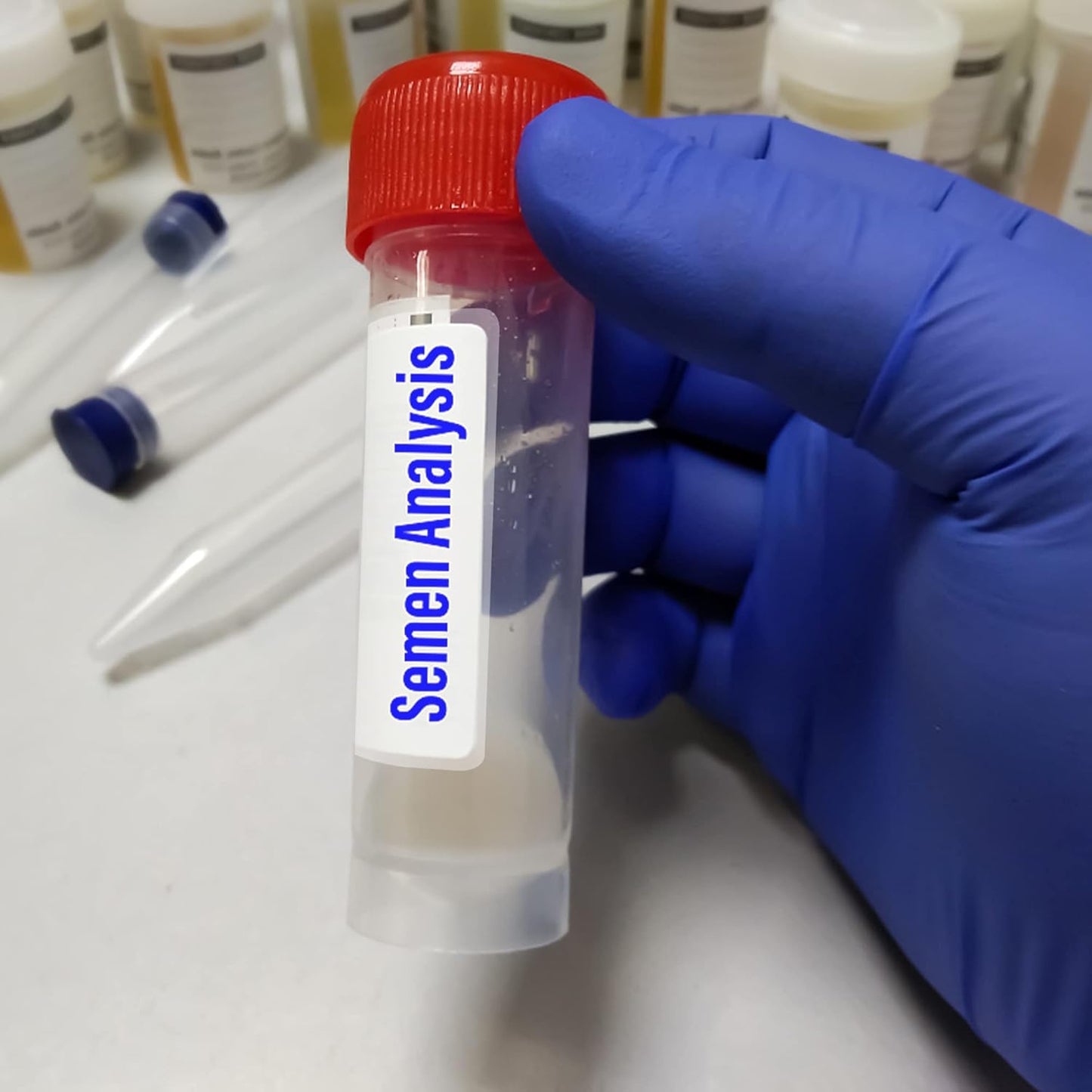 1200 PCS Clear Label Protector Self-Adhesive Waterproof Rectangle Label Protector Shields Transparent Envelope Seal Stickers 3.1 x 1.2 Inches