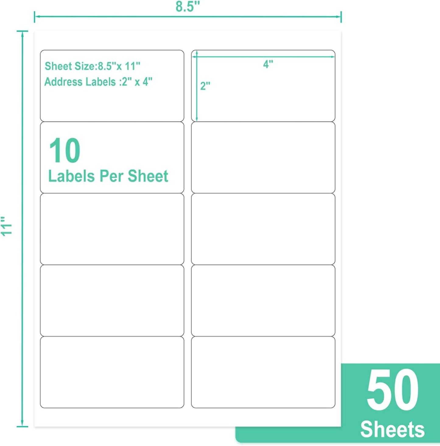 L LIKED 2" x 4" Label Stickers, Printable White 10 per Sheets Total 500 Labels, for Laser/Inkjet Printing - Matte (500 Labels)