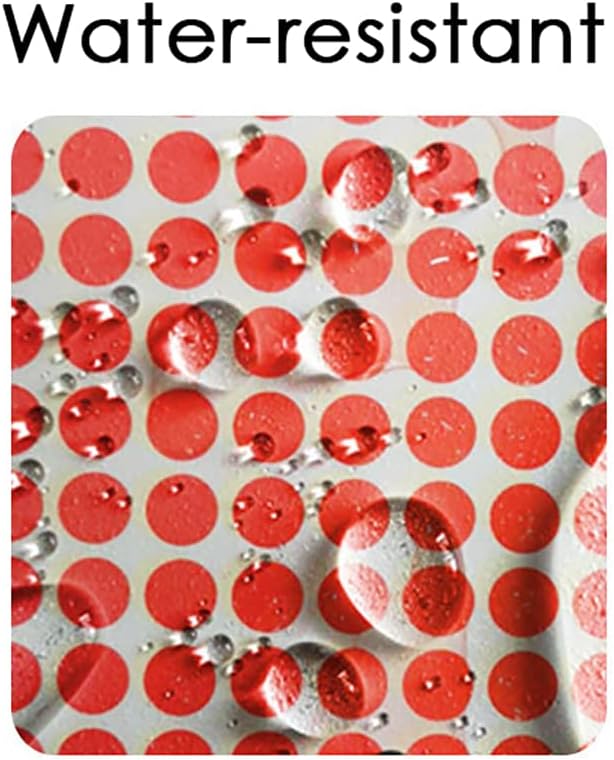 Color Book Spine Labels | 1000pcs for Classroom Library Organization | Rainbow Book Spine Stickers 25 Assorted Colors,1"