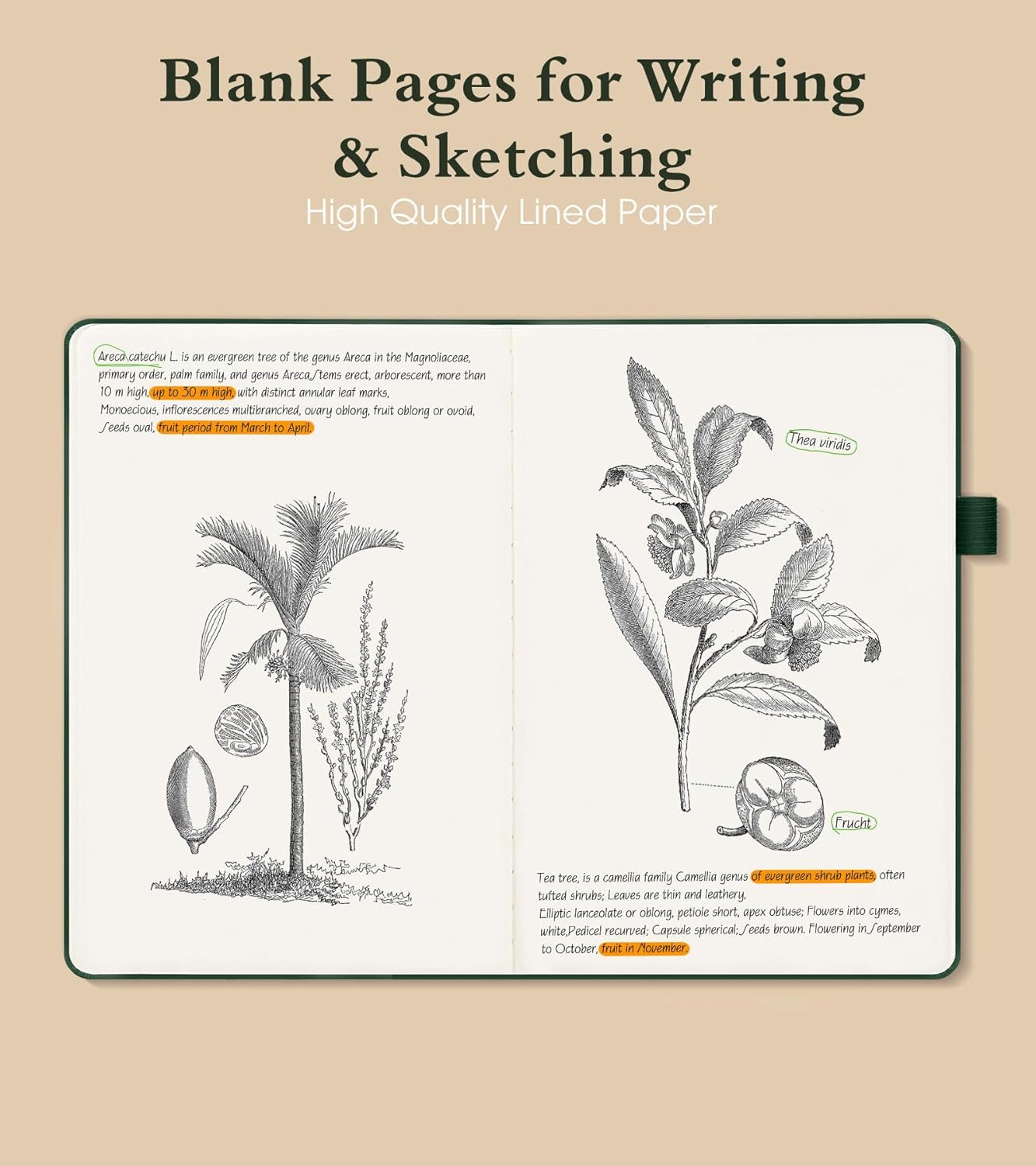 Blank Journal Notebook for Women Men,160 Pages,Inner Pocket,A5 Hardcover Sketchbook for Drawing, Sketch book, Unlined Notebooks for School,Work,Travel Journals for Writing 5.8"x8.5" (Green)