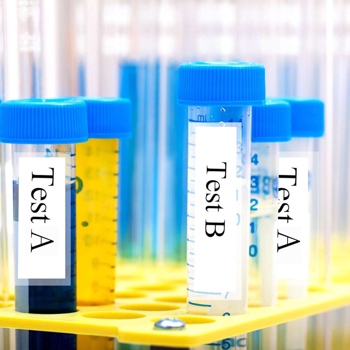 300Pcs Clear Label Protector Shields 2"x3" Vinyl Label Shields Library Book Repaire Tape Labels-Spine Labels Clear Protectors for Essential Oil Bottle Labelss Food Jars LabelBarcode Protectors