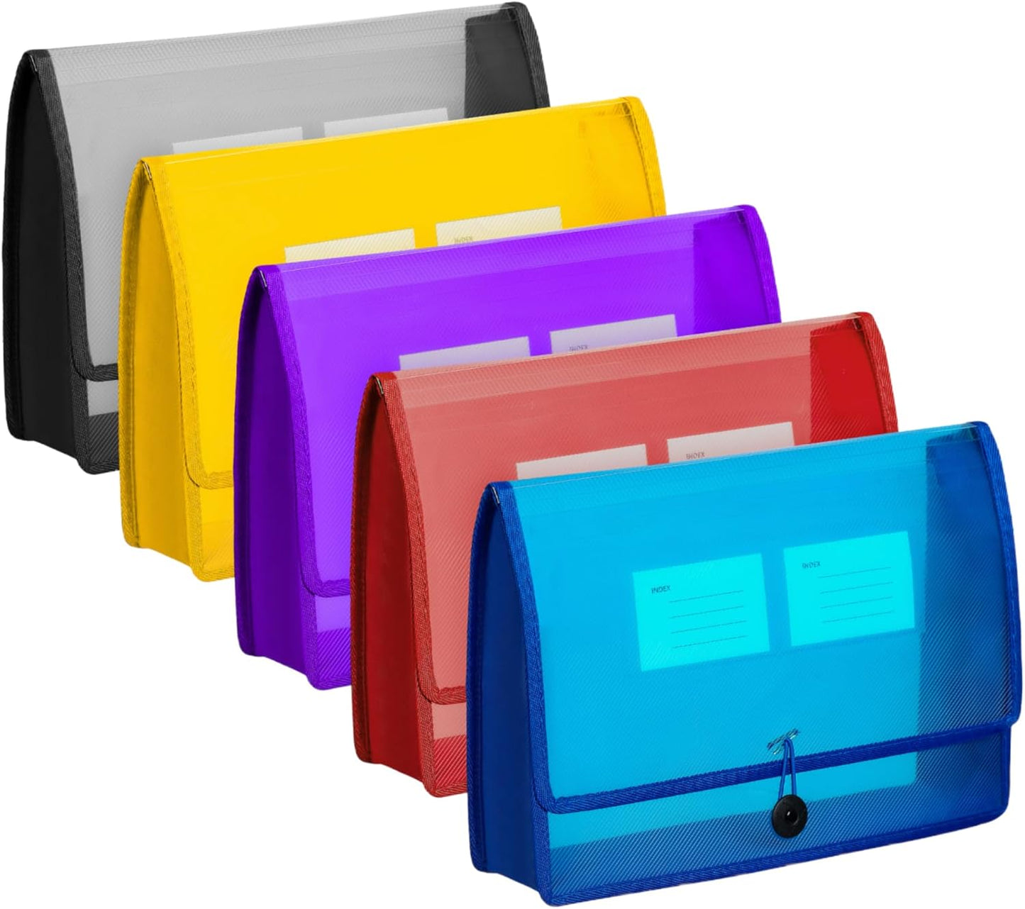 CHEPULA 5Pack A4 Plastic File Wallet Envelope Expanding File Folder Document Organizer with Snap Closure & Label Pocket Clear Colored Waterproof Accordion File Pouch for Office Home