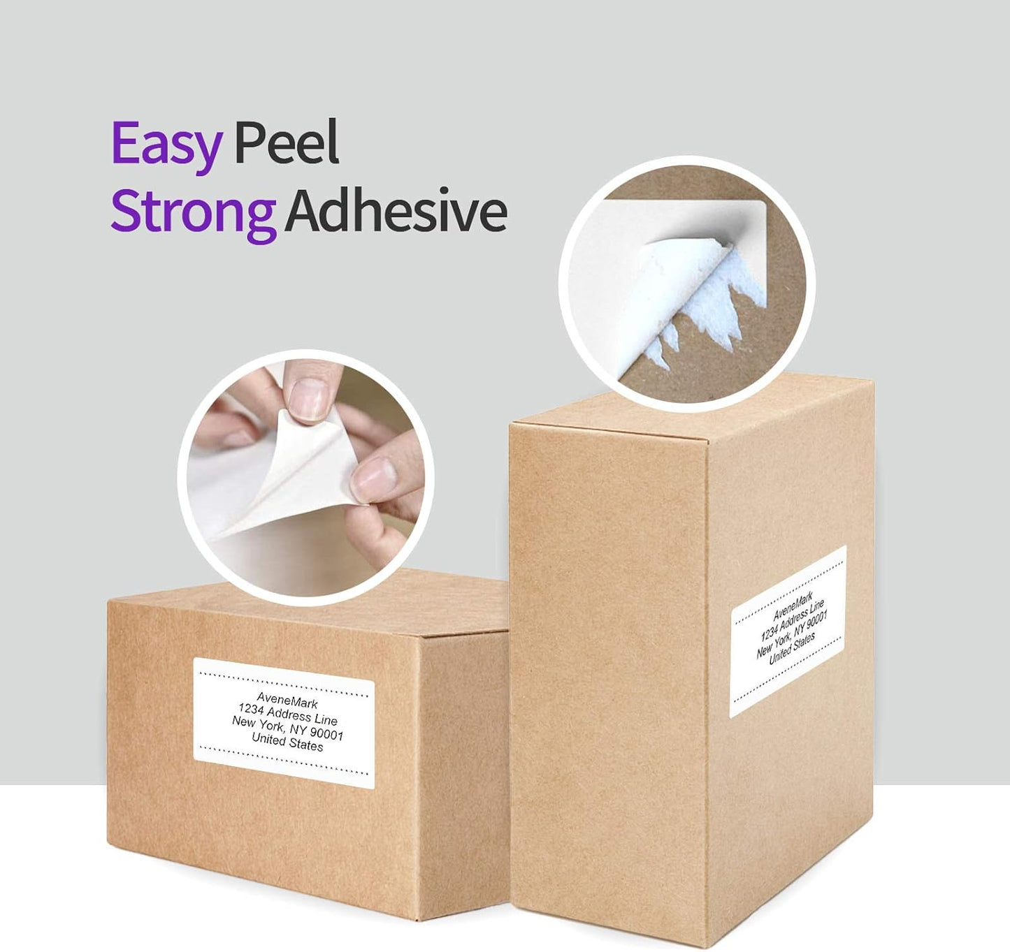 AveneMark 12 Rolls Direct Thermal Label 2.25" x 4" Shipping Labels for Mailing, Postage, Address, Perforated & Compatible with Zebra Desktop Printers & Rollo Desktop Label Printer (350 Labels/Roll)