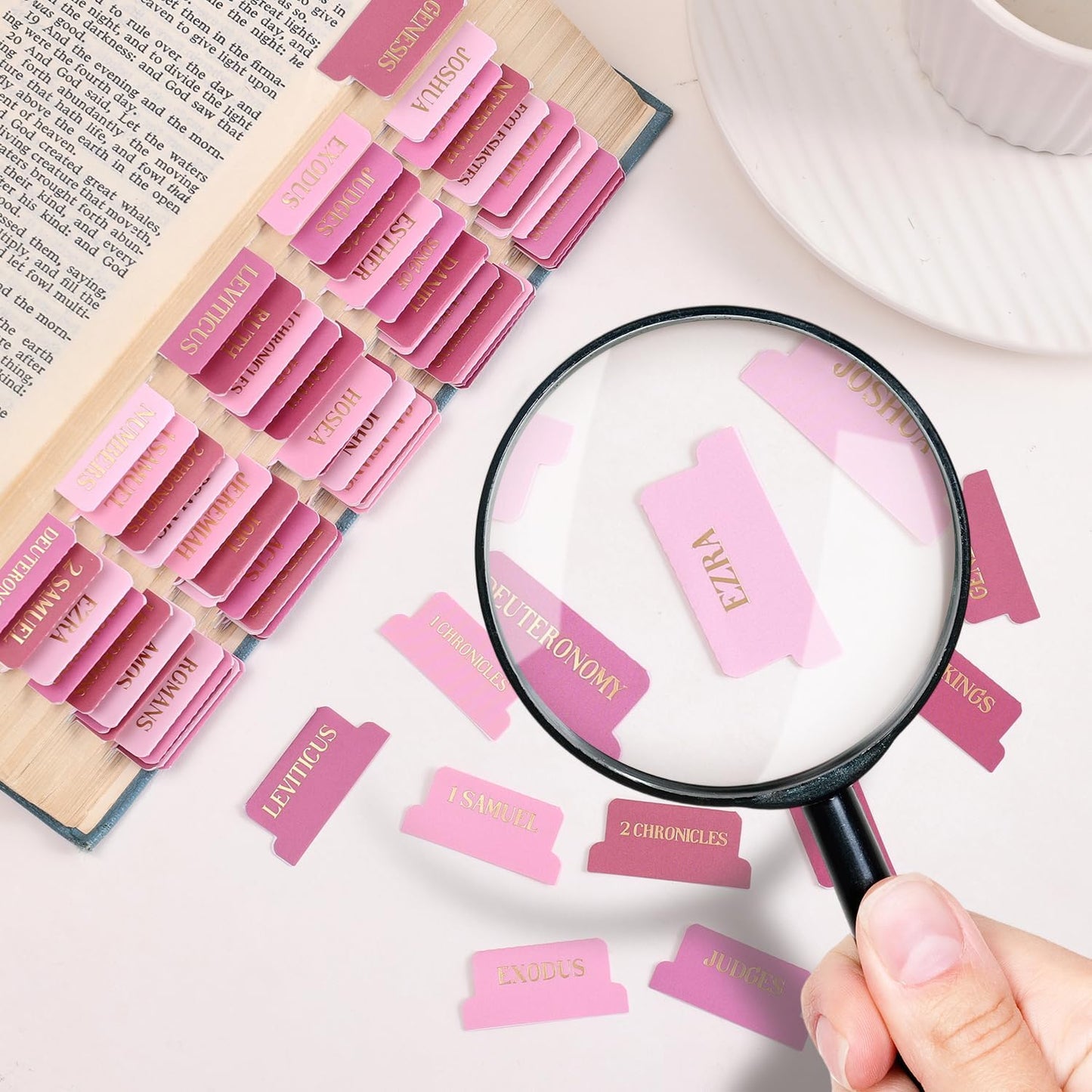 Laminated Bible Tabs, Gold Foil Embossed Lettering Bible Chapter Index Tabs for Women Men, Reposition Large Print Sticky Labels, Easy to Read and Apply, 105Chapters Labels for Easy Navigation (Pink)