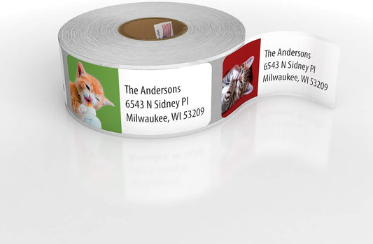 Customized Personalized Address Labels - Made in The USA by Kenco (250 Labels, Kittens)