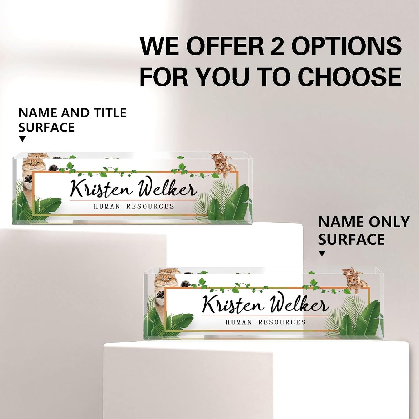 Gowellly Office Desk Name Plate Personalized - Custom Acrylic Name Plates for Desk - Employee Appreciation Gifts - Office Gifts for Teacher,Boss,Nurse,Lawyer,Women Office (Pet-cat-1)