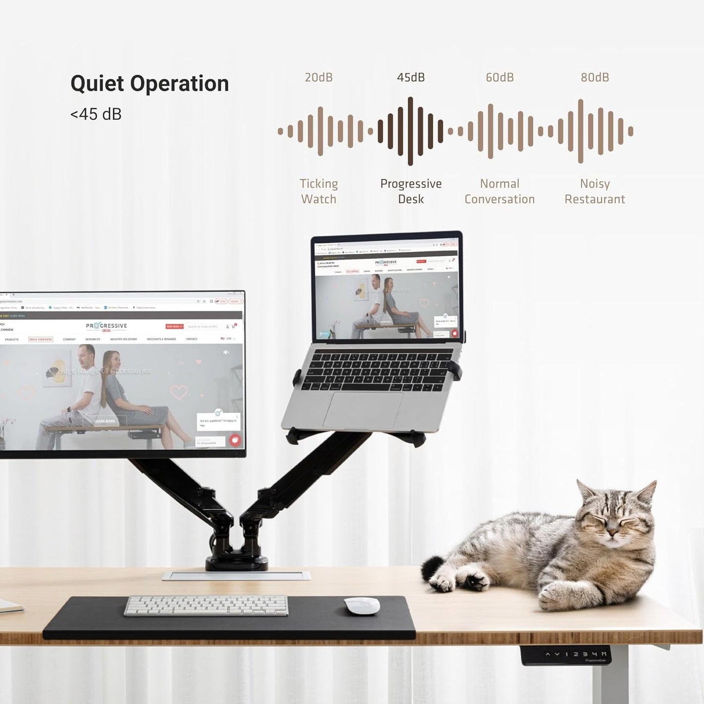 Progressive Desk Stand Up Height Adjustable Electric Standing Desk - 48" x 30" with Dual Motor, 3 Stages Sit Stand Table - Ebony Oak, Gray Frame