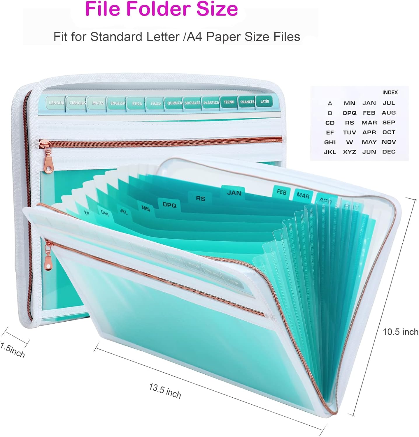 MEGREZ Expanding File Folder with 13 Pockets, A4 Paper File Folder with Zipper Color Labels, Waterproof Accordion File Folder Organizer for Home Office, Green-Clear
