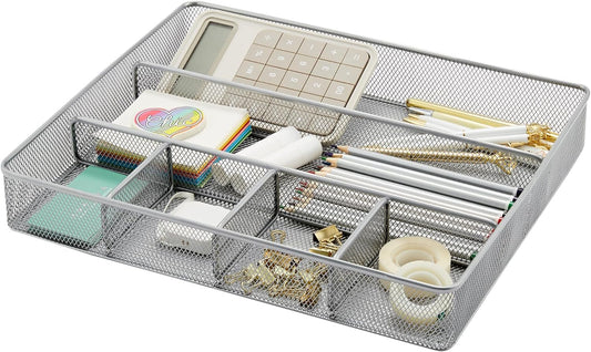 Annova Desk Top Organizer Tray for Office Organization - Metal Mesh - Storage Tray with Dividers for Pens, Desktop Accessories, Bathroom, Kitchen, Makeup and Office Supplies (Large, Silver)