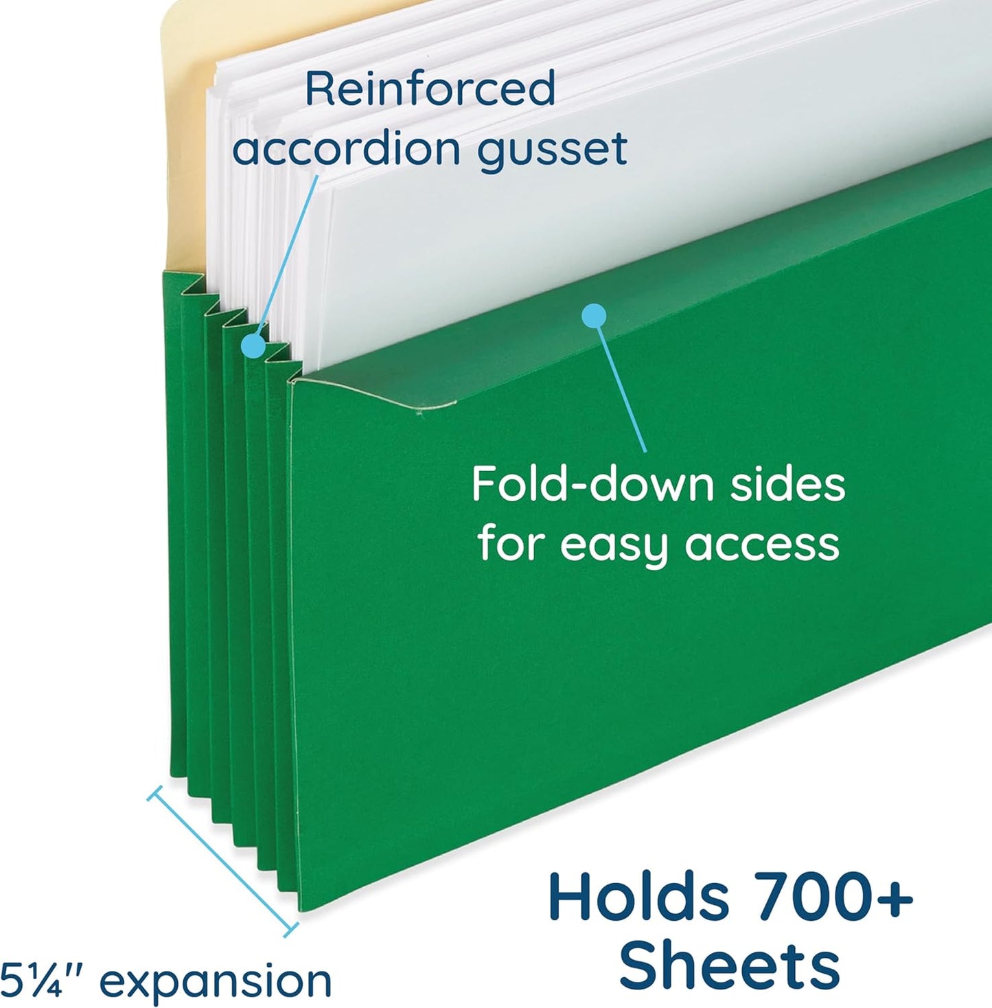 Blue Summit 10 Expanding File Pockets, Accordion File Folders Letter Size, 5.25” Expandable Pockets, Assorted Colors