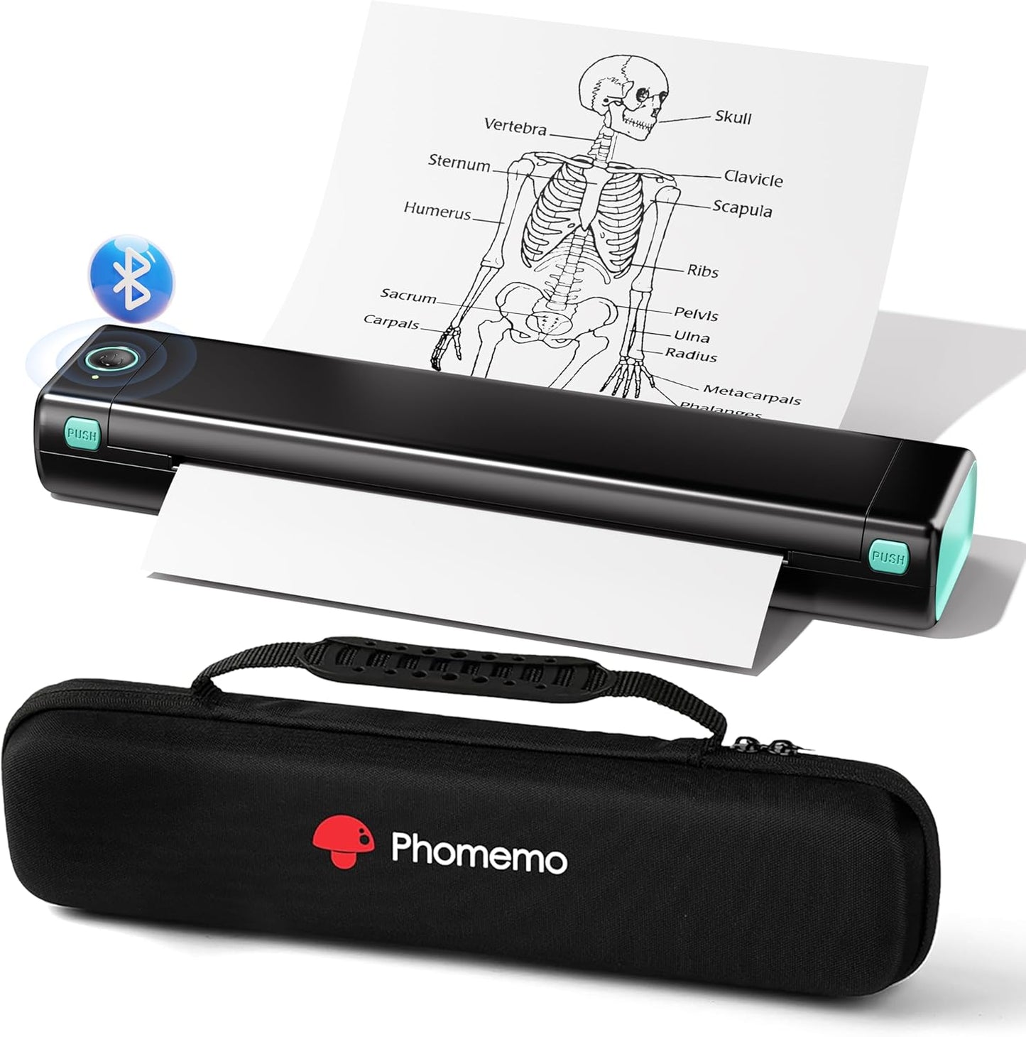 Phomemo Portable Printers Wireless for Travel - Bluetooth Thermal Printer Supports 8.5" X 11" Letter, Inkless Printer Compatible with Phone Laptop for Home Use Car Office School, Come with Carry Case
