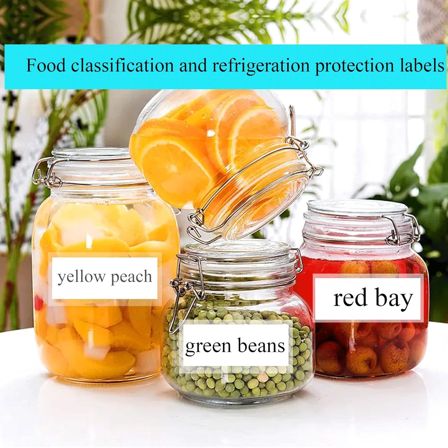 300Pcs Clear Label Protector Shields 2"x3" Vinyl Label Shields Library Book Repaire Tape Labels-Spine Labels Clear Protectors for Essential Oil Bottle Labelss Food Jars LabelBarcode Protectors