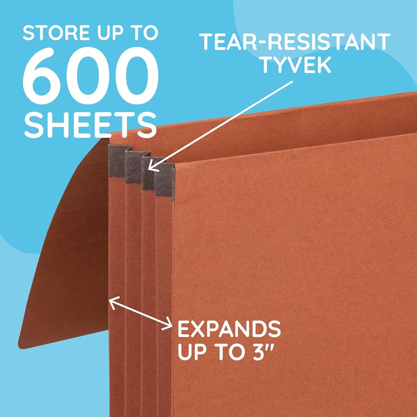 Blue Summit Accordion File Wallet with Flap and Cord Closure, Legal Size, 3” Expansion – 10 Pack