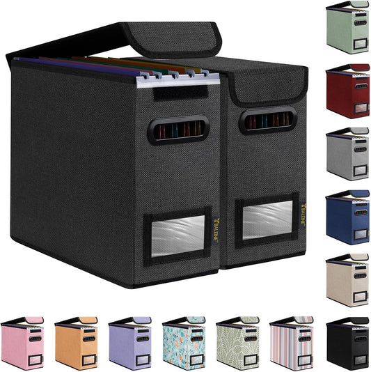 BALEINE File Organizer Box with Lid, Collapsible File Folder Organizer with Plastic Slide, Hanging File Folder Box for Office Document Storage (2 Pack, Black, S)