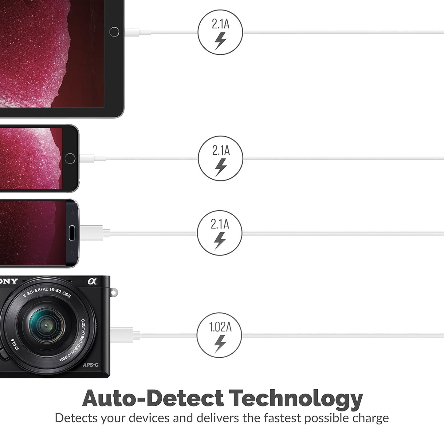 SABRENT Premium 60 Watt (12 Amp) 6 Port Aluminum Family Sized Desktop USB Rapid Charger.[UL Certified ] Smart USB Charger with Auto Detect Technology [Black] (AX-FLCH-B)