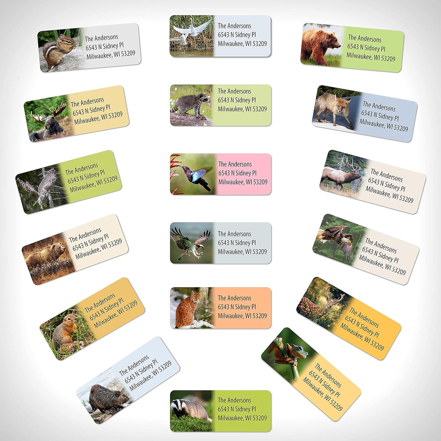 Customized Personalized Address Labels - Made in The USA by Kenco (250 Labels, Forest Wildlife)